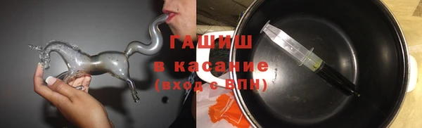хмурый Щигры